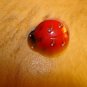 Plastic button in shape of lady bug.