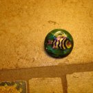 Large plastic button with ocean fish. Large plastic button with ocean fish.