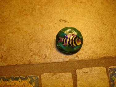 Large plastic button with ocean fish.
