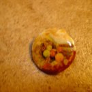 Old mother of pearl button with cornucopia Thanksgiving design Old mother of pearl button with cornucopia Thanksgiving design