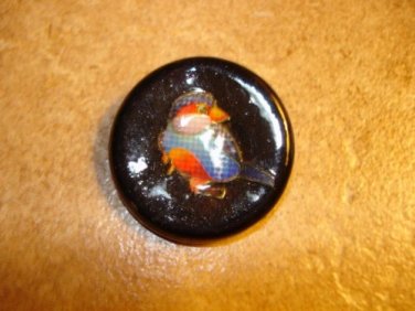 Large black plastic button with tropical bird.