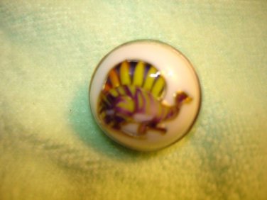 Dome shape white plastic button with dinosaurus.