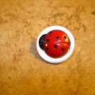 Cute plastic button with lady bug. Cute plastic button with lady bug.