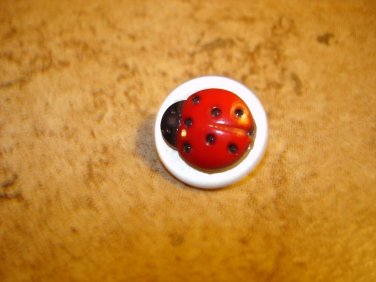 Cute plastic button with lady bug.