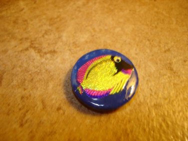 Lovely plastic button with colorful ocean fish