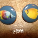 Set of 2 mother of pearl buttons with colorful tropical fish. Set of 2 mother of pearl buttons with colorful tropical fish.