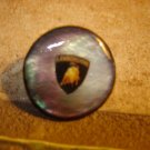 Mother of pearl advertising button for Lamborghini car. Mother of pearl advertising button for Lamborghini car.
