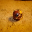 Small vintage round wood button
