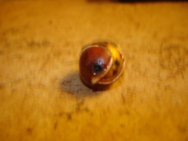 Small vintage round wood button