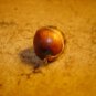 Small vintage round wood button