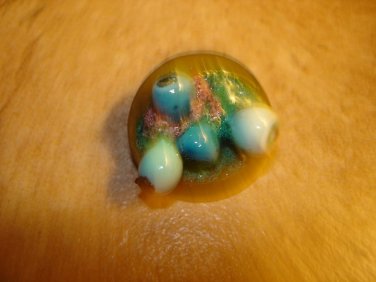 Large plastic button with blueberries.
