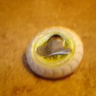 White plastic button with metal cowboy hat White plastic button with metal cowboy hat