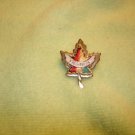 Gold metal maple leaf Victoria all metal brooch pin.