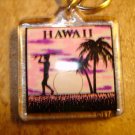 Hawaii picture metal key chain. Hawaii picture metal key chain.