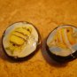 Lot of 2 plastic buttons with tropical fish picture