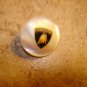Old mother of pearl advertising button for Lamborghini car.