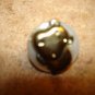Mother of pearl button with silver metal rhino animal.