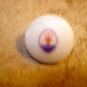 Mother of pearl advertising button for Maserati car.