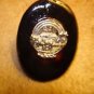 Large oval shape faux tortoisse shell button with Noah's arc.