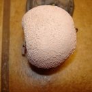 Rare vintage button in shape of fruit.