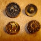 Lot of 4 antique picture buttons Lion, sea shell & other.