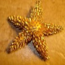 Large gold tone metal button in shape of sea star.