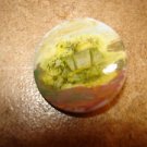 Picture like plastic button with English cottage.