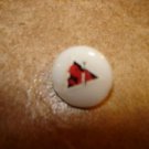 Small mother of pearl button with devil.