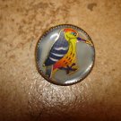 Medium metal button with colorful woodpecker bird.