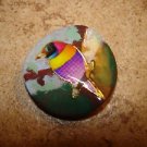 Large plastic button with colorful tropical bird.