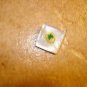 Square Mother of pearl button with 3 leafs cloves.