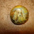 Dome shape plastic button with baset hunt dog.