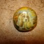 Dome shape plastic button with baset hunt dog.