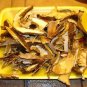 Dried Mushrooms Boletus, Porcini 3oz + free recipes