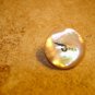 Mother of pearl button with China Clipper PAA sign