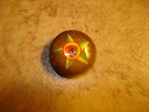 Old vegetable ivory button with funny squirel.
