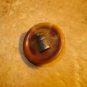 Vegetable ivory button with old metal milk bottle.
