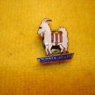 Pre WWII Guadalajara FC Mexico football screw on badge pin offered MTH