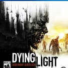 Dying Light R3