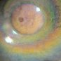 Blown Glass Plate