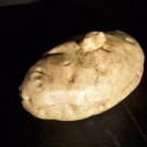 Baked Potato Casserole Dish!