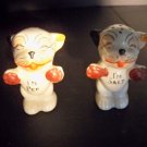 Vintage Smiling Cats Salt and Pepper shaker