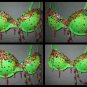 Neon Green Peace Rave Bra