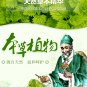 YAO WANG CAO BEN RU GAO For Seborrheic dermatitis, solar dermatitis,psoriasis, vulva prutitus