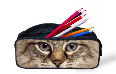 Animal image pencils case