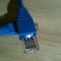 Cat 5e snagless ethernet patch cable blue 8in