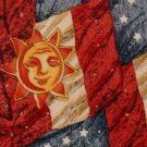 USA Seller AMERICAN EAGLE OUTFITTER SUN RED BEIGE BLUE NECK TIE Excellent