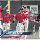 Minnesota Twins 2018 Topps #614 Baseball Team Card