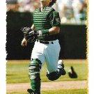 Terry Steinbach 1995 Topps #442 Oakland Athletics Baseball Card