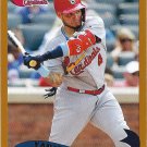 Yadier Molina 2020 Topps Archives #234 St. Louis Cardinals Baseball Card Yadier Molina 2020 Topps Archives #234 St. Louis Cardinals Baseball Card